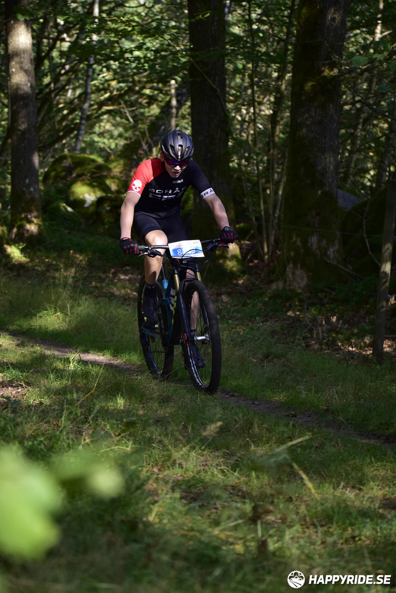 Bild från Bockstensturen 2019